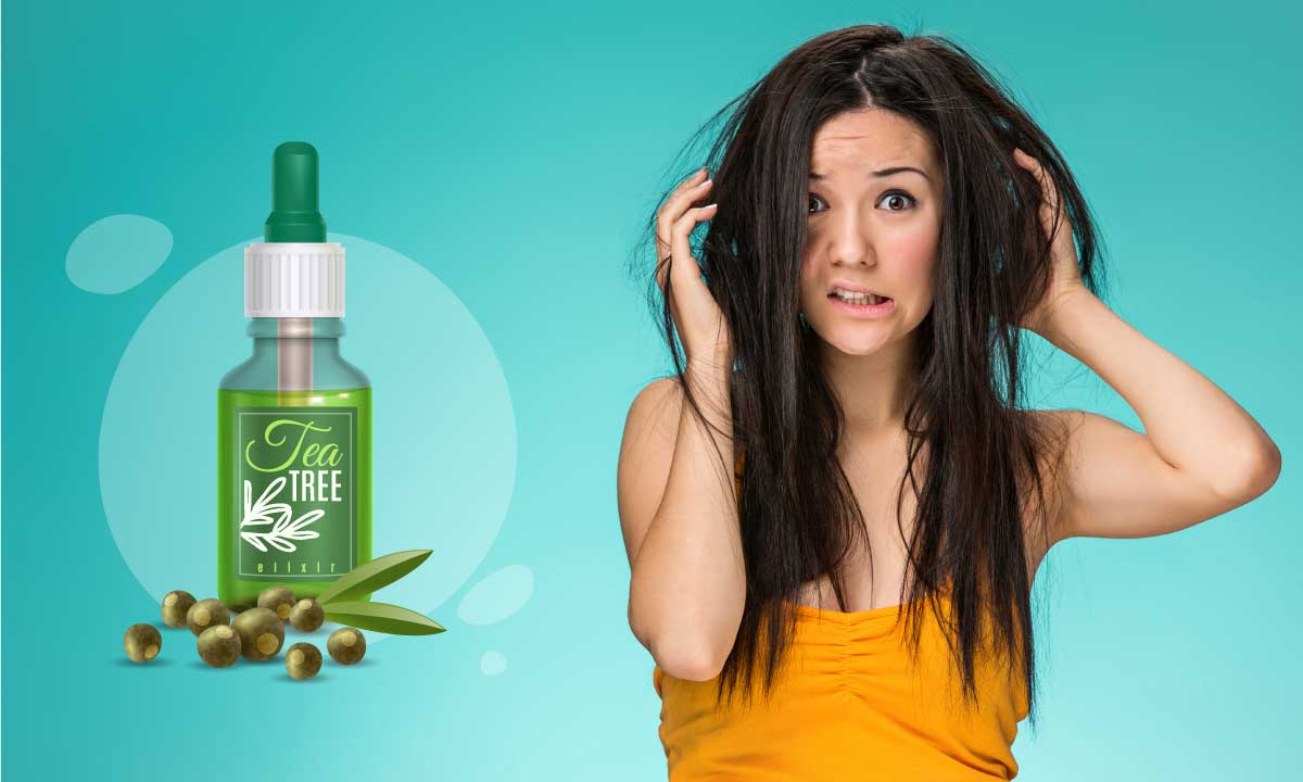 Tea Tree Oil For Dandruff: Benefits And Uses For Hair Growth
