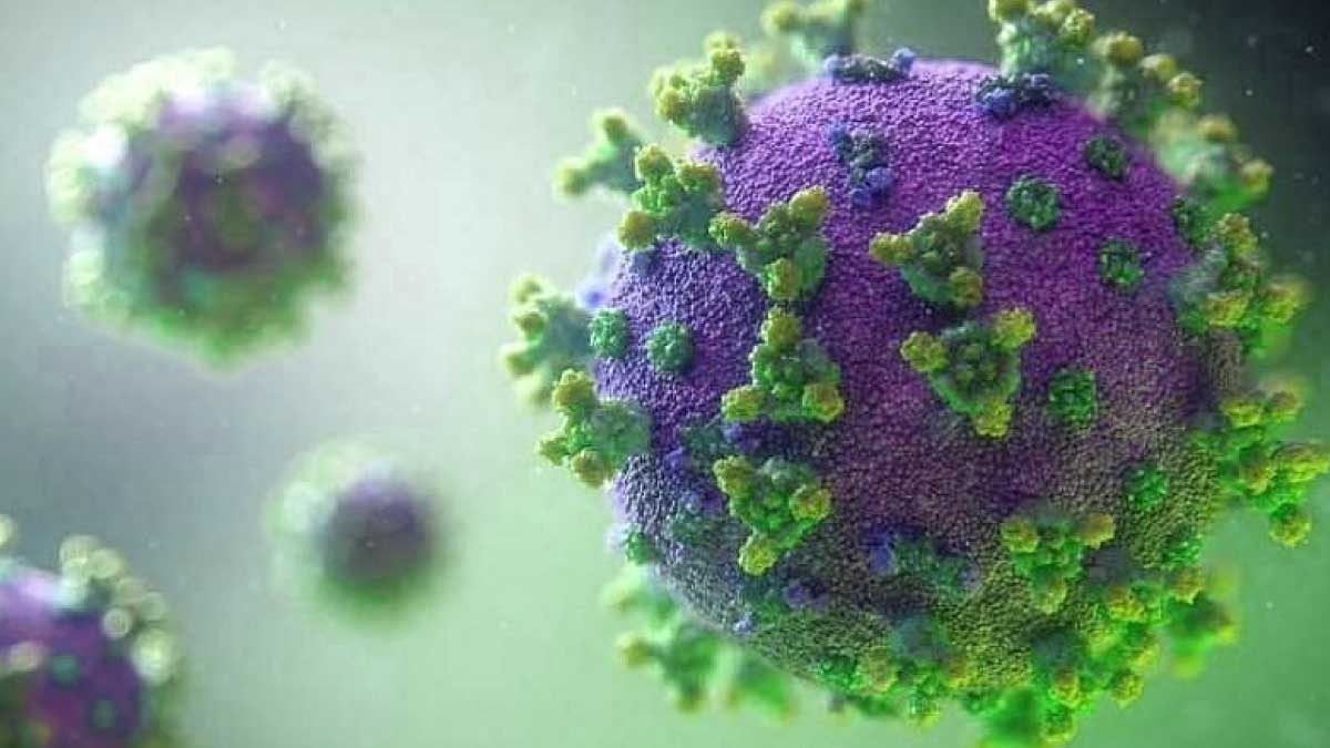 Norovirus recovery, norovirus deaths, norovirus cure, is norovirus deadly?, norovirus cases, norovirus symptoms