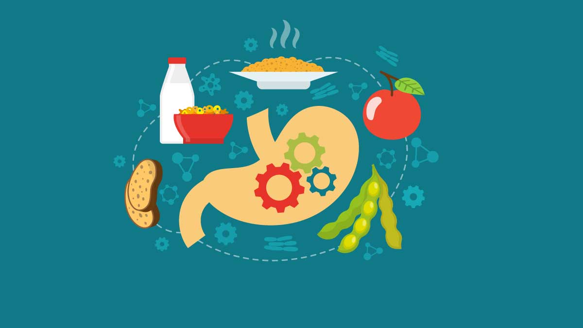 Healthy Foods, foods to improve your digestive system, foods to improve digestion, healthy fast food options, healthy foods to lose weight