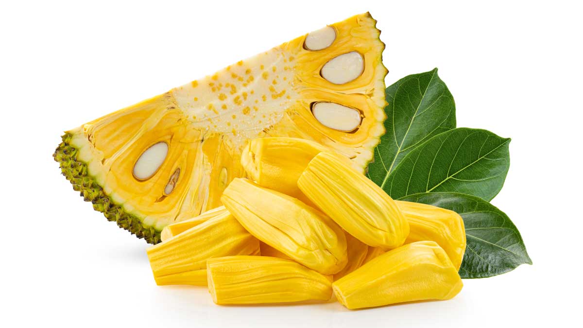 what are benefits of eating jackfruit, nutritional benefits of jackfruit, benefits of eating jackfruit during pregnancy