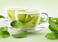is decaffeinated green tea good for weight loss, matcha green tea for weight loss, is green tea good for weight loss