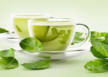 is decaffeinated green tea good for weight loss, matcha green tea for weight loss, is green tea good for weight loss